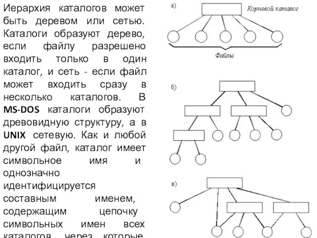 Иерархия каталогов может быть деревом или сетью. Каталоги образуют дерево, если файлу
