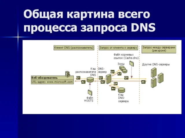 Общая картина всего процесса запроса DNS