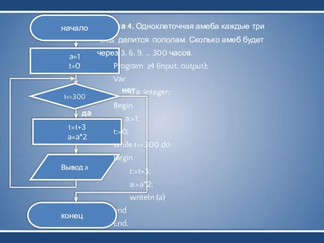 Вывод a a=1 t=0 t=t+3 a=a*2 Задача 4. Одноклеточная амеба каждые три