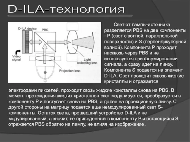 D-ILA-технология Свет от лампы-источника разделяется PBS на две компоненты - P (свет