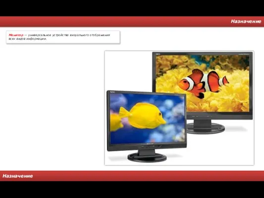 Назначение Назначение Монитор — универсальное устройство визуального отображения всех видов информации.