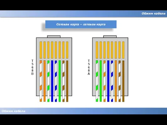 Обжим кабеля Обжим кабеля Сетевая карта – сетевая карта