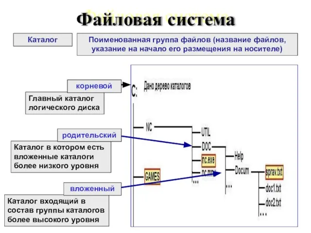 Каталог входящий в состав группы каталогов более высокого уровня Каталог в котором