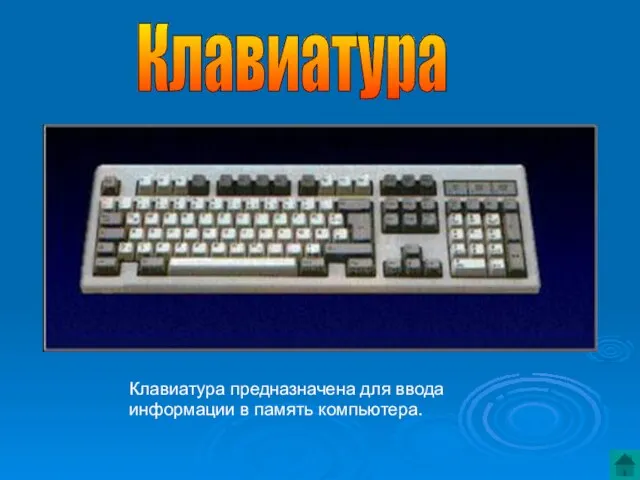 Клавиатура предназначена для ввода информации в память компьютера. Клавиатура