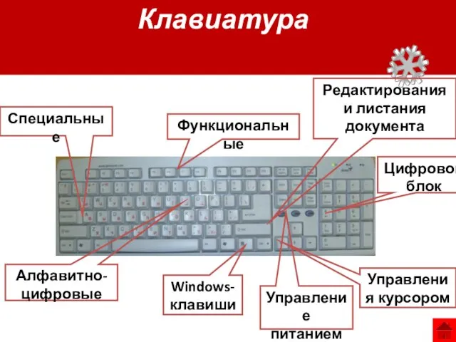 Функциональные Windows-клавиши Управления курсором Алфавитно-цифровые Редактирования и листания документа Цифровой блок Управление питанием Специальные Клавиатура