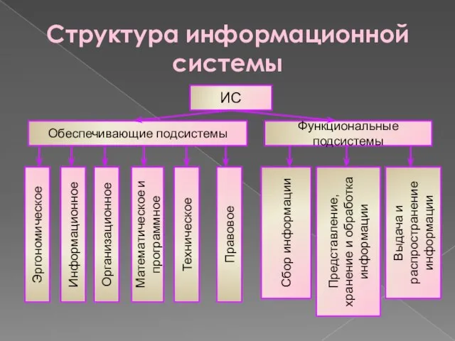 Структура информационной системы