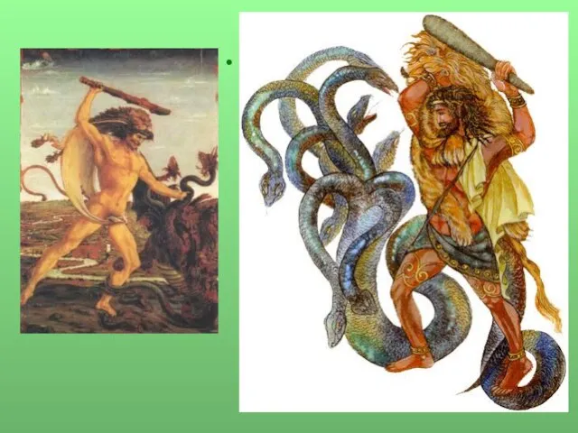 Гидра - многоголовый дракон или водяная змея с несколькими головами. Больше всех