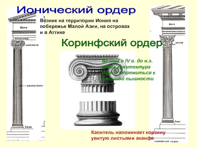 Ионический ордер Возник на территории Иония на побережье Малой Азии, на островах