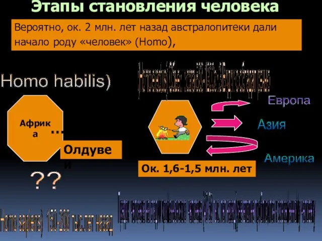 Homo habilis) Африка … Олдувей Вероятно, ок. 2 млн. лет назад австралопитеки