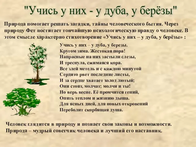 "Учись у них - у дуба, у берёзы" Природа помогает решать загадки,