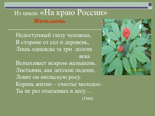 Из цикла «На краю России» Женьшень Недоступный глазу человека, В стороне от