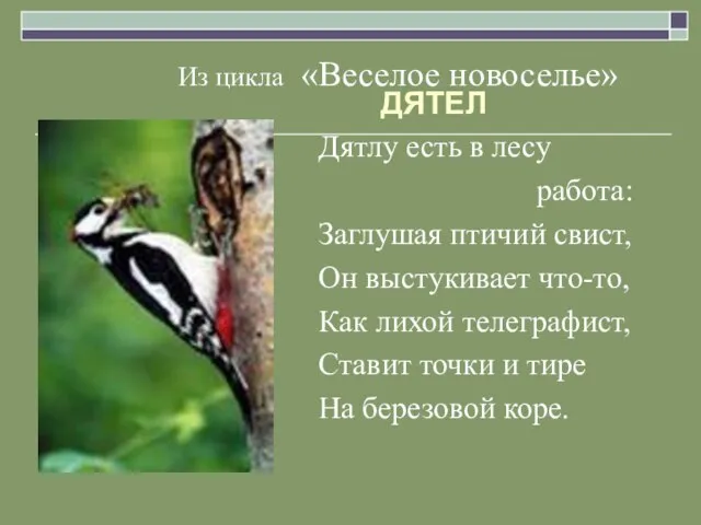 Из цикла «Веселое новоселье» ДЯТЕЛ Дятлу есть в лесу работа: Заглушая птичий