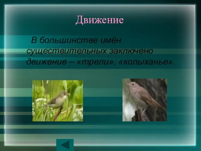 Движение В большинстве имён существительных заключено движение – «трели», «колыханье».