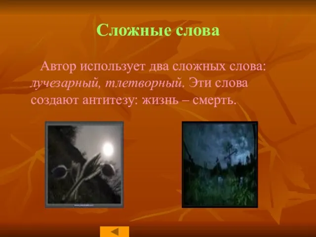 Сложные слова Автор использует два сложных слова: лучезарный, тлетворный. Эти слова создают антитезу: жизнь – смерть.