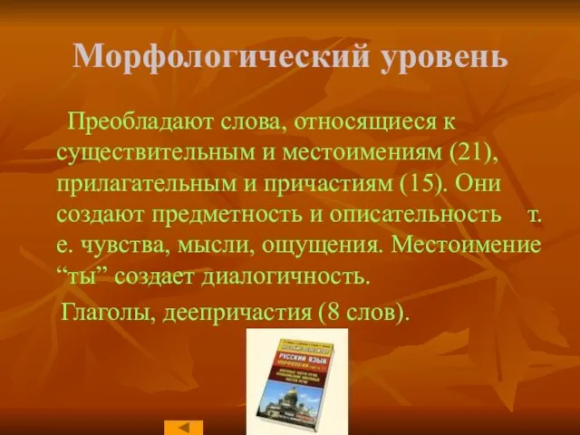 Морфологический уровень Преобладают слова, относящиеся к существительным и местоимениям (21), прилагательным и