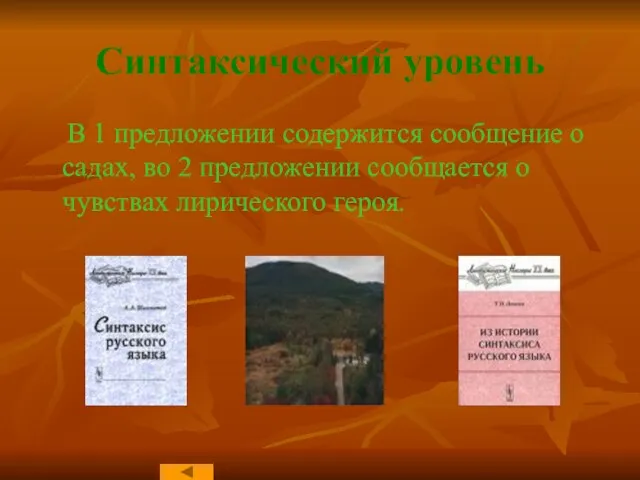 Синтаксический уровень В 1 предложении содержится сообщение о садах, во 2 предложении