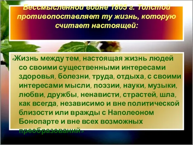 Бессмысленной войне 1805 г. Толстой противопоставляет ту жизнь, которую считает настоящей: «Жизнь