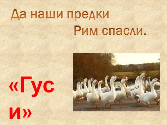 «Гуси»