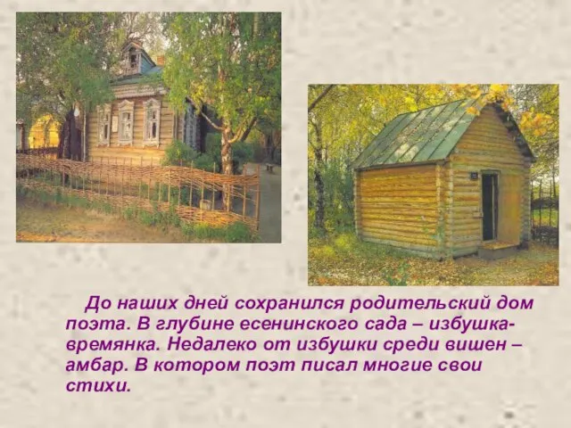 До наших дней сохранился родительский дом поэта. В глубине есенинского сада –