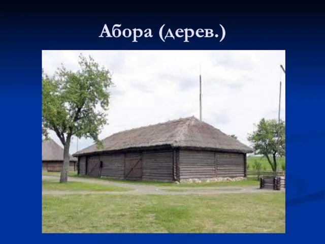 Абора (дерев.)