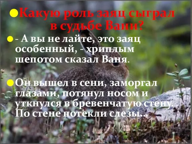 Какую роль заяц сыграл в судьбе Вани? - А вы не лайте,