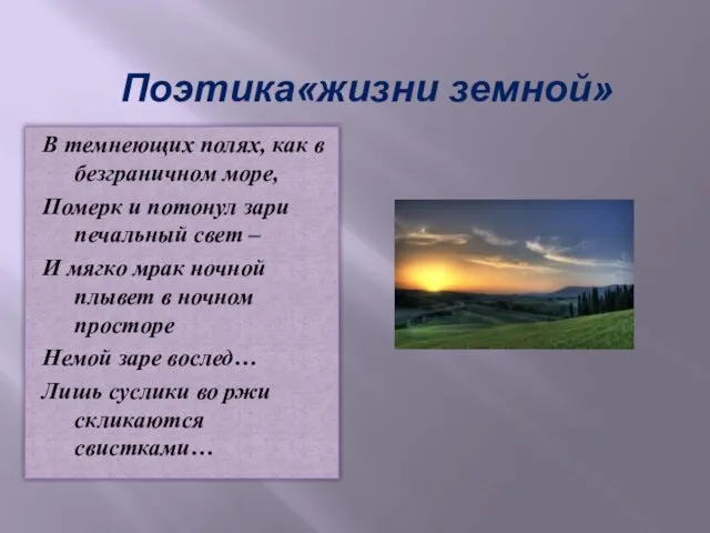 Поэтика«жизни земной» В темнеющих полях, как в безграничном море, Померк и потонул