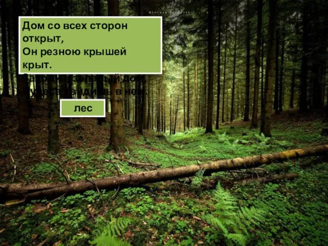 Дом со всех сторон открыт, Он резною крышей крыт. Заходи в зеленый