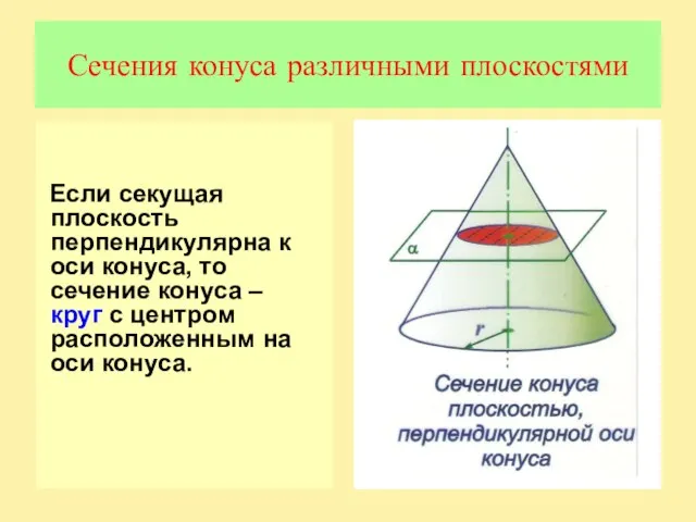 Сечения конуса различными плоскостями Если секущая плоскость перпендикулярна к оси конуса, то