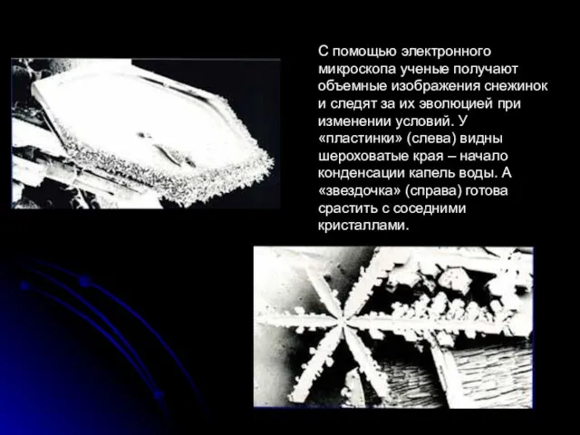 С помощью электронного микроскопа ученые получают объемные изображения снежинок и следят за