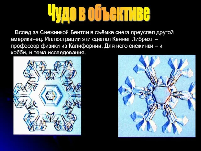 Чудо в объективе Вслед за Снежинкой Бентли в съёмке снега преуспел другой