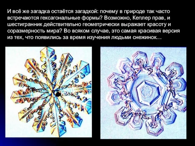 И всё же загадка остаётся загадкой: почему в природе так часто встречаются