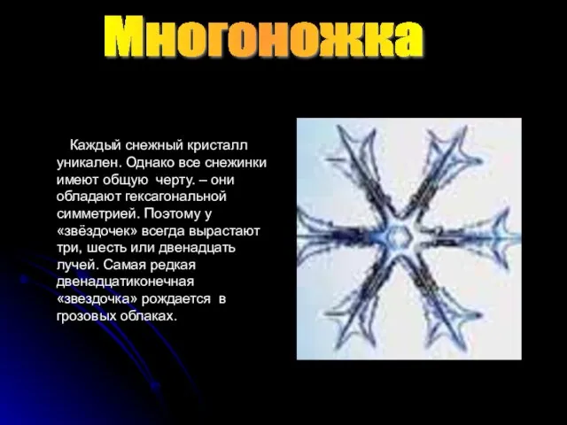 Многоножка Каждый снежный кристалл уникален. Однако все снежинки имеют общую черту. –