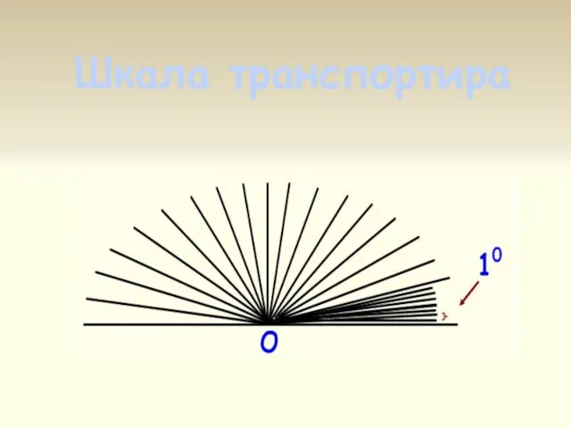 Шкала транспортира