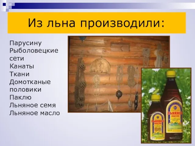 Из льна производили: Парусину Рыболовецкие сети Канаты Ткани Домотканые половики Паклю Льняное семя Льняное масло