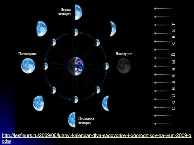http://lesfleurs.ru/2009/06/lunnyj-kalendar-dlya-sadovodov-i-ogorodnikov-na-iyun-2009-goda/