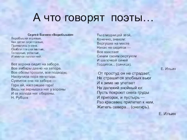 А что говорят поэты… Сергей Есенин «Воробышки» Воробышки игривые, Как детки сиротливые,