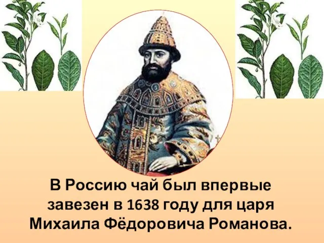 В Россию чай был впервые завезен в 1638 году для царя Михаила Фёдоровича Романова.