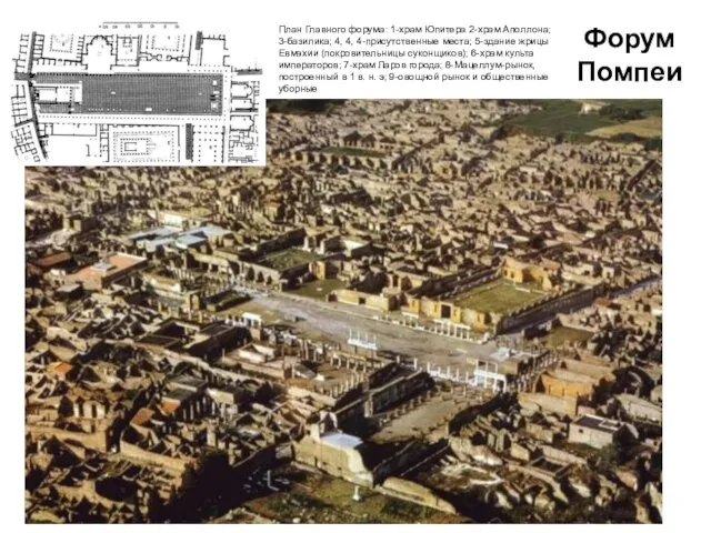 Форум Помпеи План Главного форума: 1-храм Юпитера 2-храм Аполлона; 3-базилика; 4, 4,