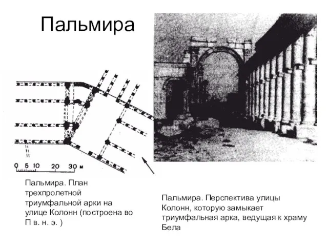 Пальмира Пальмира. План трехпролетной триумфальной арки на улице Колонн (построена во П
