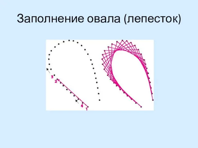 Заполнение овала (лепесток)