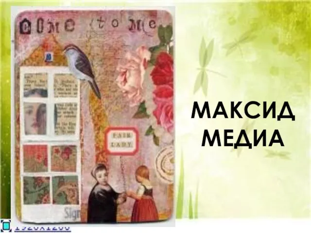 МАКСИД МЕДИА