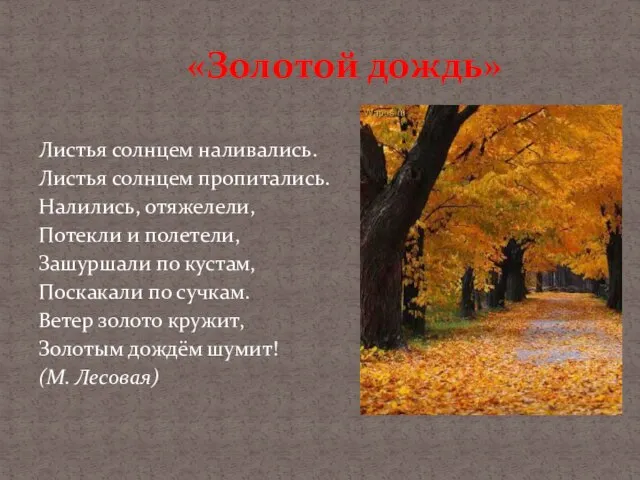 Листья солнцем наливались. Листья солнцем пропитались. Налились, отяжелели, Потекли и полетели, Зашуршали