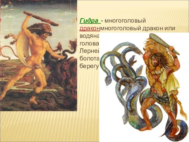 Гидра - многоголовый драконмногоголовый дракон или водяная змея с несколькими головами. Больше