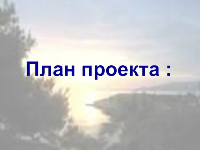 План проекта :