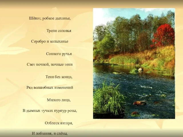 Шёпот, робкое дыханье, Трели соловья Серебро и колыханье Сонного ручья Свет ночной,