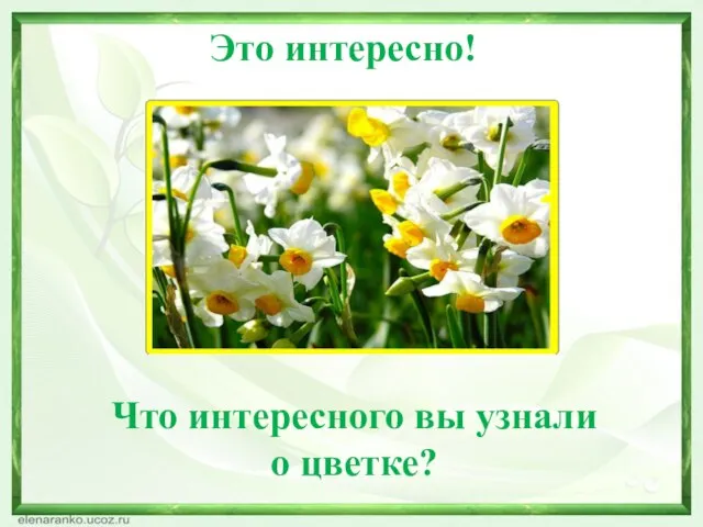 Это интересно! Что интересного вы узнали о цветке?