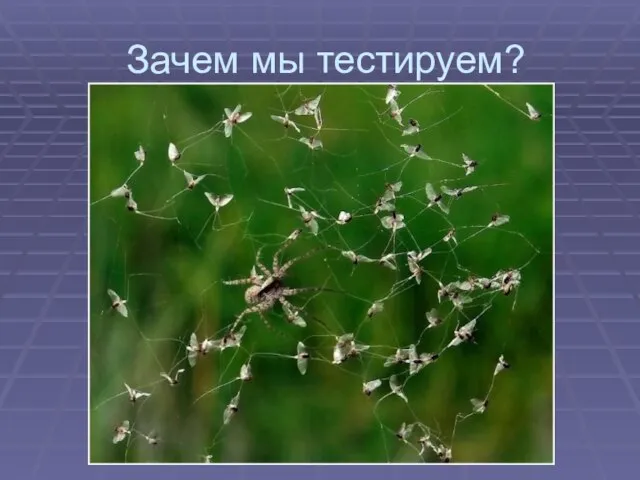 Зачем мы тестируем?