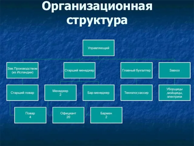 Организационная структура