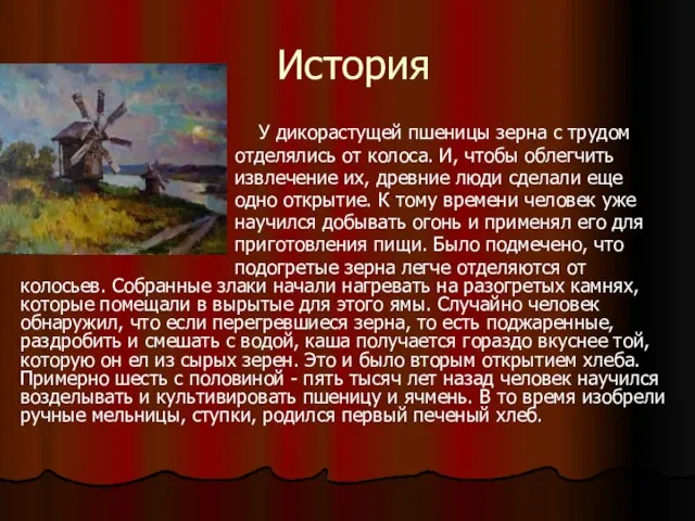 История У дикорастущей пшеницы зерна с трудом отделялись от колоса. И, чтобы