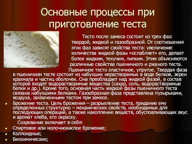 Основные процессы при приготовление теста Тесто после замеса состоит из трех фаз: